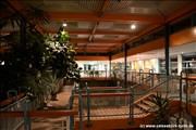 palmengarten-holm800_10