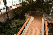palmengarten-holm800_14