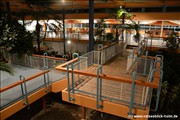 palmengarten-holm800_15