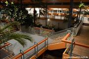palmengarten-holm800_16