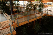 palmengarten-holm800_18