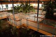 palmengarten-holm800_19