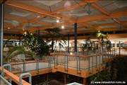 palmengarten-holm800_2