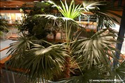 palmengarten-holm800_21