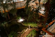 palmengarten-holm800_23