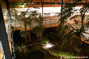 palmengarten-holm800_24
