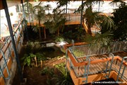 palmengarten-holm800_25