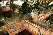 palmengarten-holm800_26