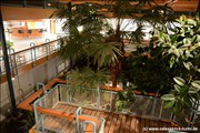 palmengarten-holm800_28