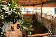 palmengarten-holm800_30