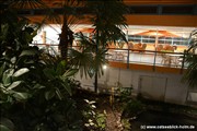 palmengarten-holm800_31