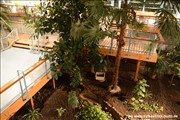 palmengarten-holm800_32