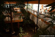palmengarten-holm800_33