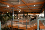 palmengarten-holm800_4