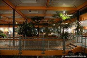 palmengarten-holm800_5