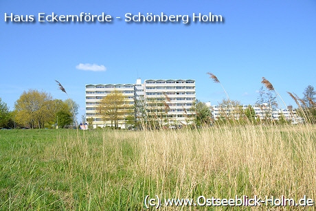 Blick über die Wiese