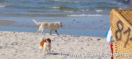 Hundestrand Schönberger Strand