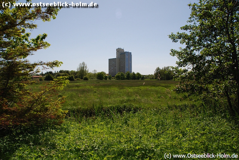 Blick aus Wisch auf den Holm