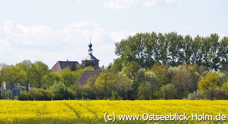 Schönberger Kirche mit Rapsfeld