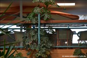 adventure_minigolf_holm_30
