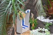 adventure_minigolf_holm_4