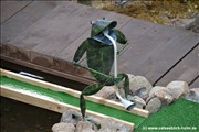 adventure_minigolf_holm_9