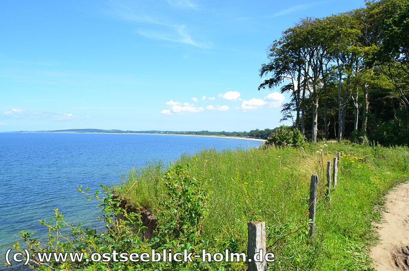 Ferienwohnung Ostsee: Ostseebilder 2011 von der Steilküste