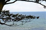 Ferienwohnung Ostsee / Sch�nberger Strand: Blick von der Steilk�ste