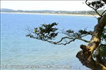 Ferienwohnung Ostsee / Sch�nberger Strand: Blick von der Steilk�ste