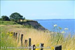 Ferienwohnung Ostsee / Sch�nberger Strand: Blick von der Steilk�ste