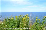Ferienwohnung Ostsee / Sch�nberger Strand: Blick von der Steilk�ste