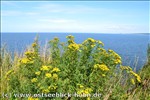 Ferienwohnung Ostsee / Sch�nberger Strand: Blick von der Steilk�ste