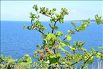 Ferienwohnung Ostsee / Sch�nberger Strand: Blick von der Steilk�ste