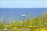 Ferienwohnung Ostsee / Sch�nberger Strand: Blick von der Steilk�ste
