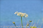 Ferienwohnung Ostsee / Sch�nberger Strand: Blick von der Steilk�ste