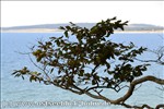 Ferienwohnung Ostsee / Sch�nberger Strand: Blick von der Steilk�ste