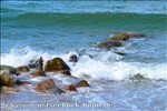 strandbilder-ostsee32