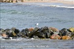 strandbilder-ostsee38